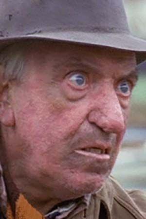 პოლ ფარელი