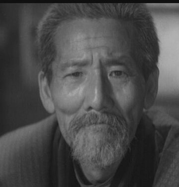 კოკუტენ კოდო