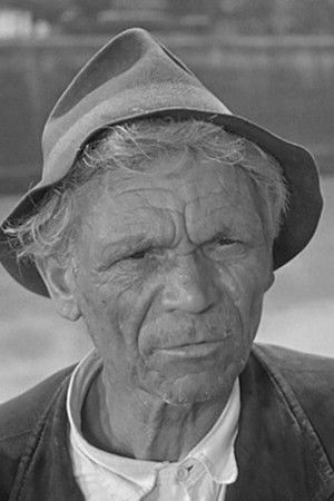 ჯულიო კიარი