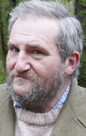 ვოლფგანგ პეტერსენი