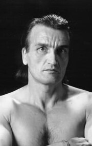 მიშელ გონდოინი