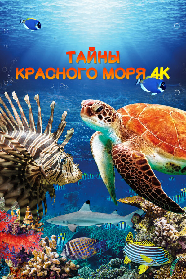 წითელი ზღვის საიდუმლოებები