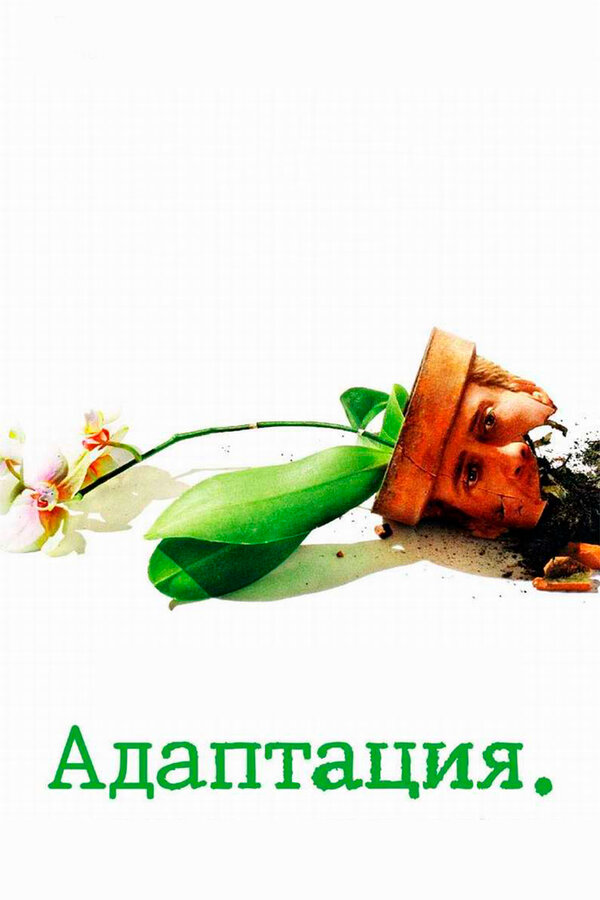 ადაპტაცია