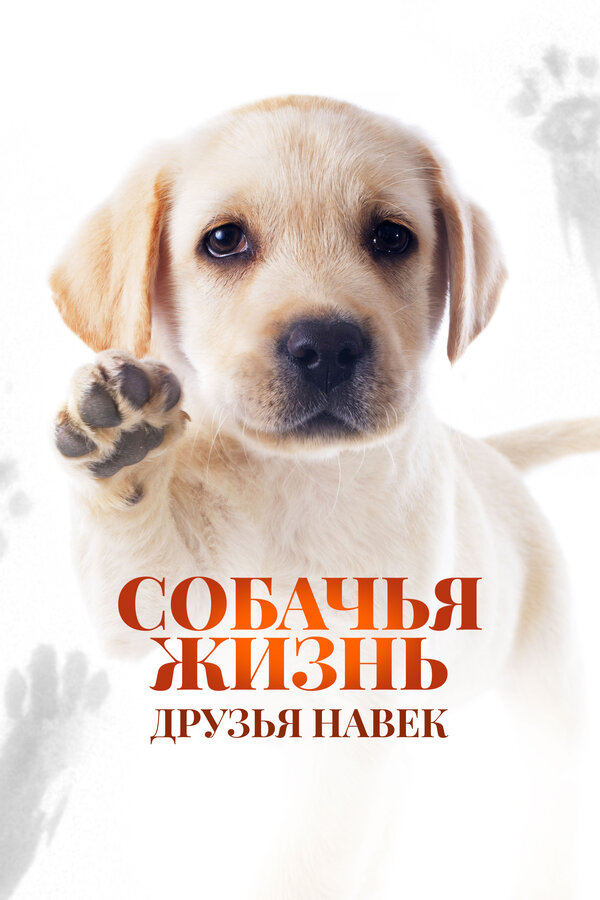 ძაღლის ცხოვრება: სამუდამოდ მეგობრები